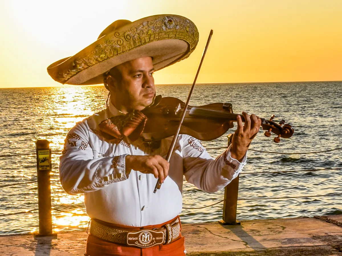 musicians main